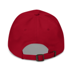 Cranberry Classic Cap – LESS NOISE MORE MEANING back view
