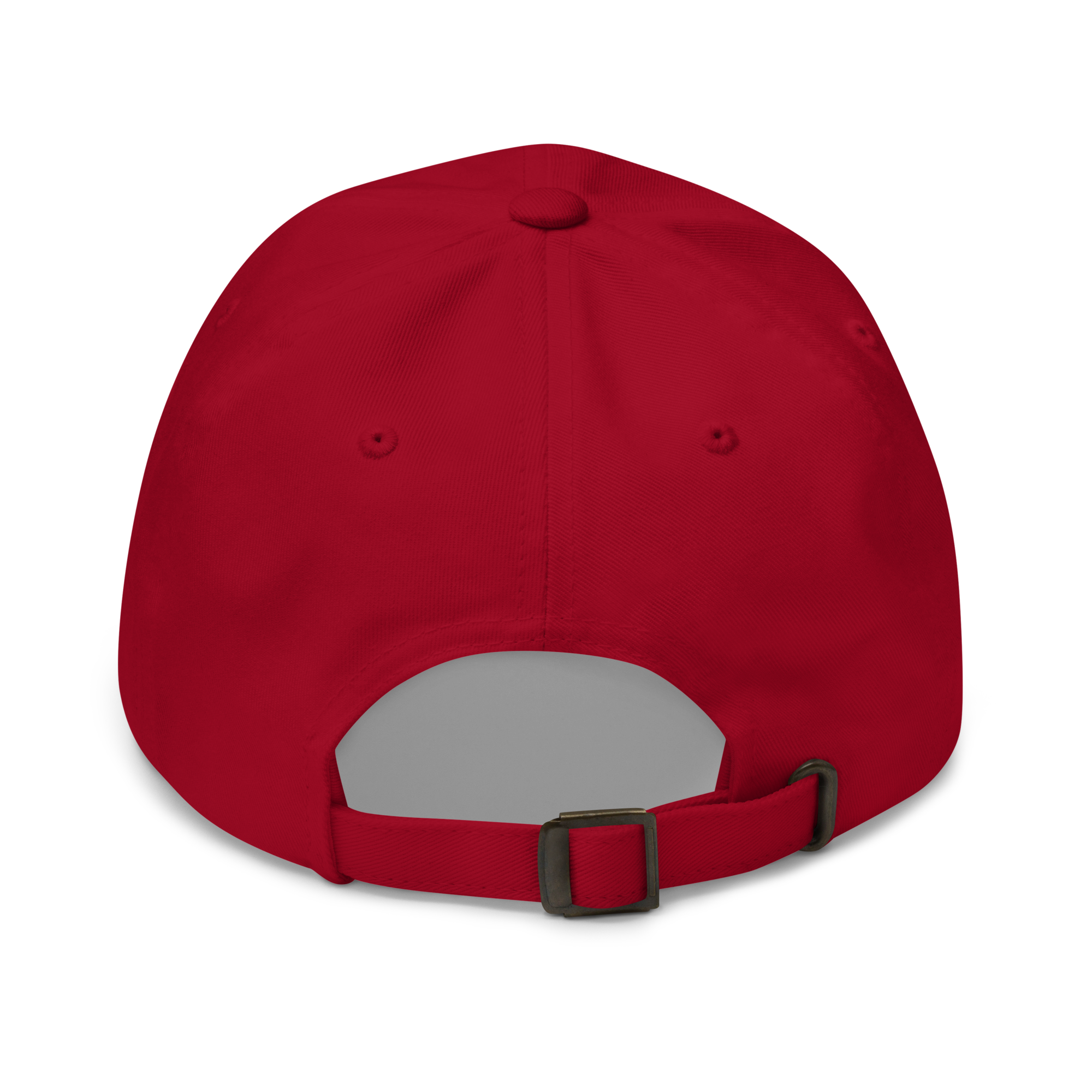 Cranberry Classic Cap – CREATE WITH PURPOSE back view