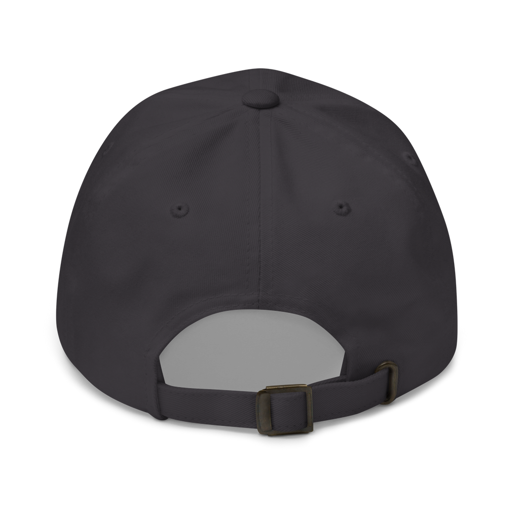 Dark Grey Classic Cap – LESS NOISE MORE MEANING back view