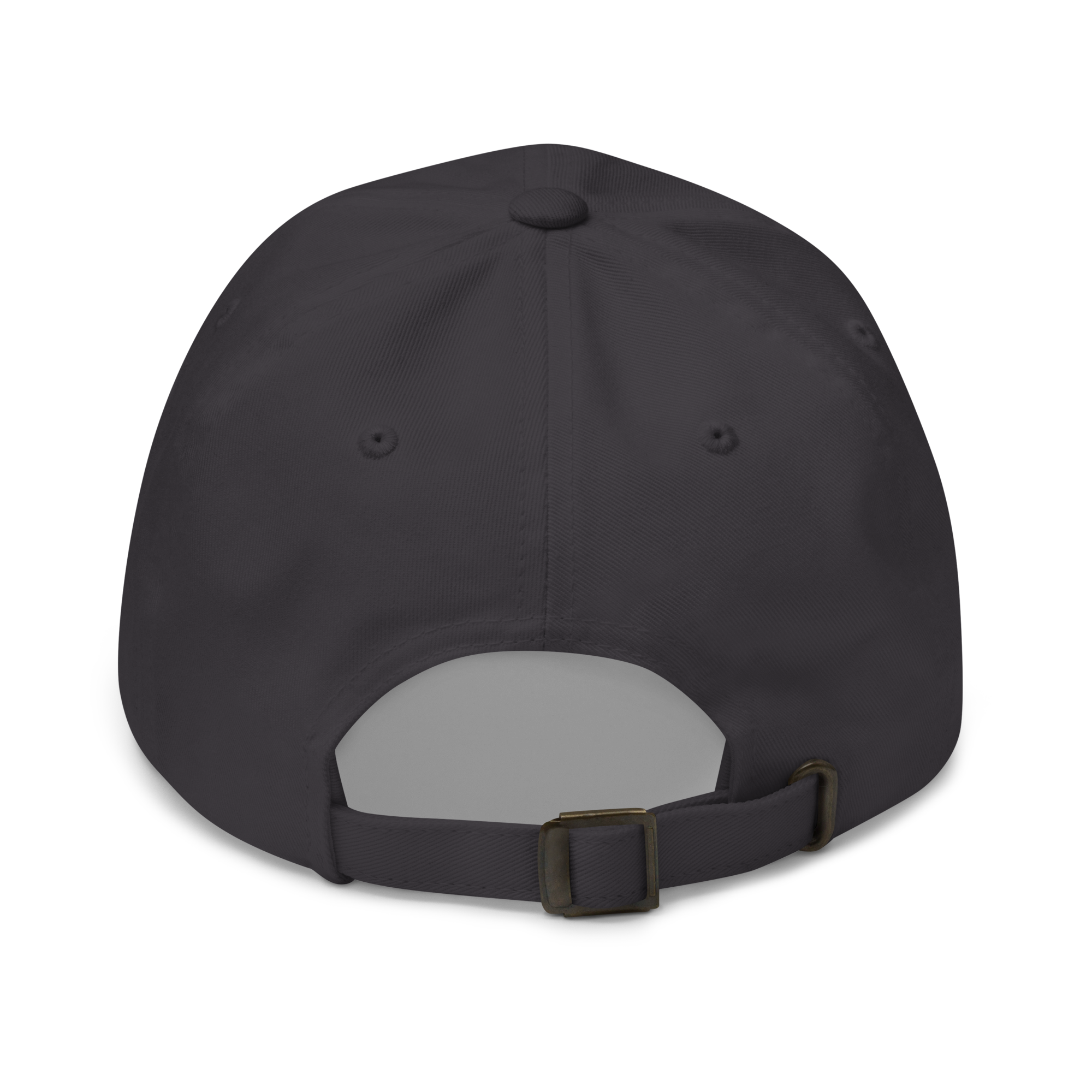 Dark Grey Classic Cap – LESS NOISE MORE MEANING back view