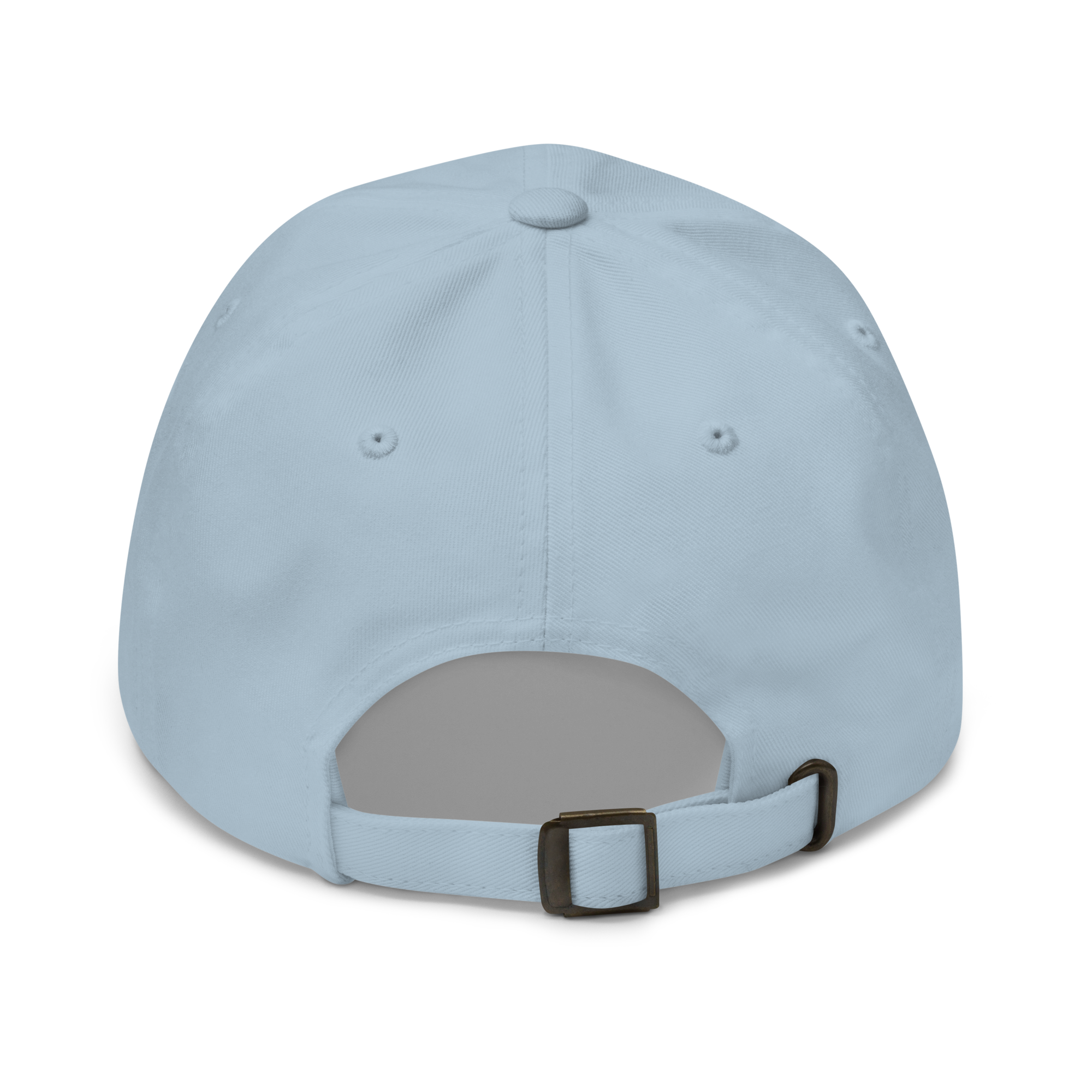 Light Blue Classic Cap – LESS NOISE MORE MEANING back view