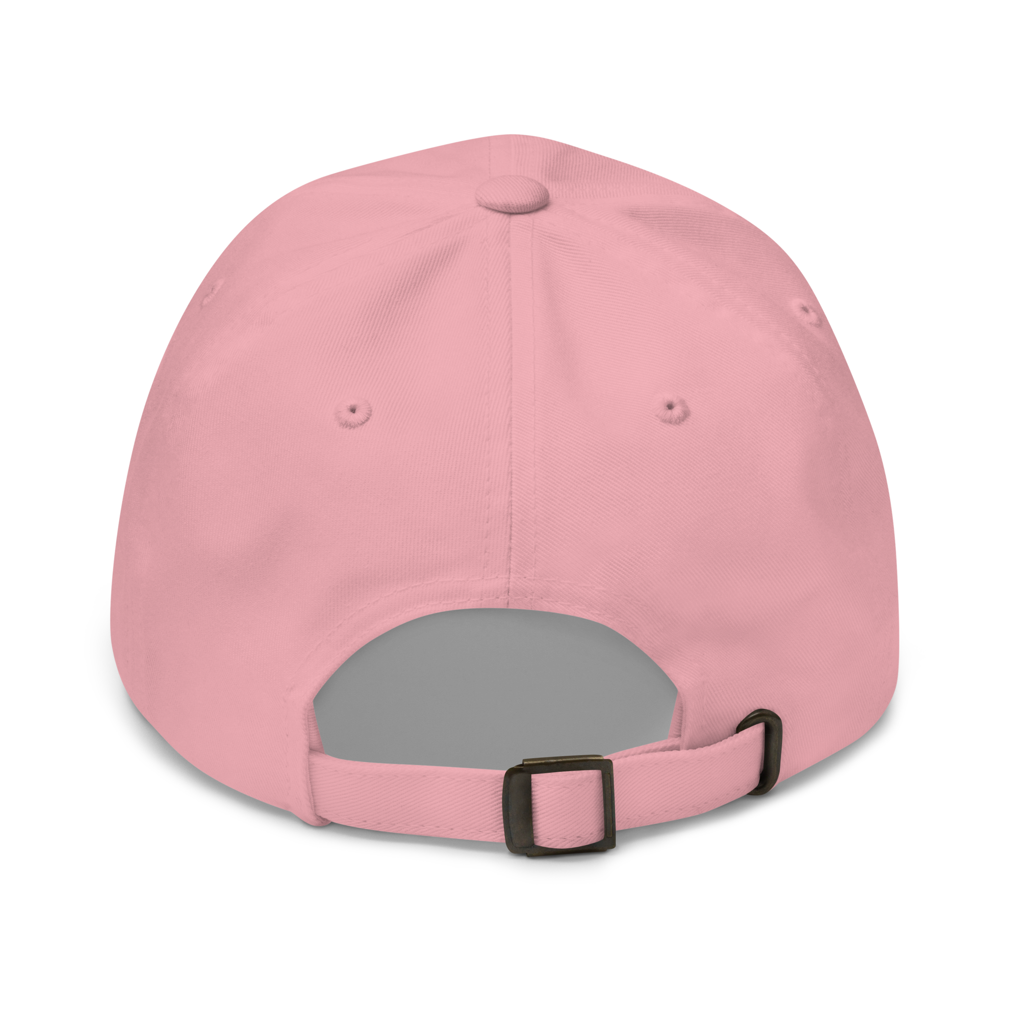 Pink Classic Cap – LESS NOISE MORE MEANING back view