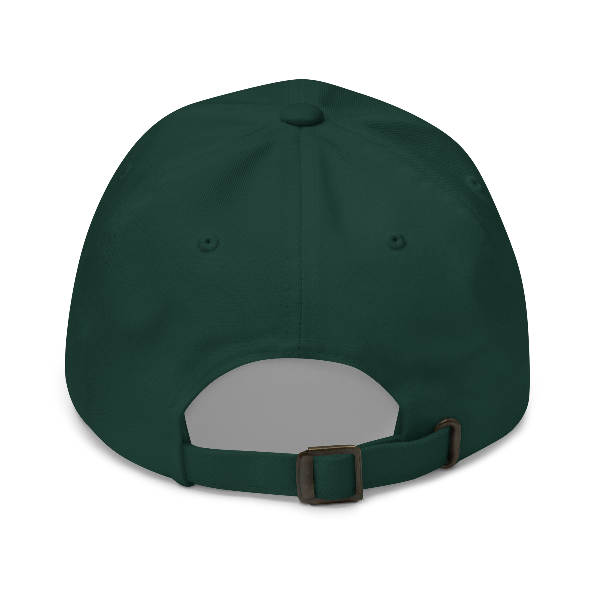 Spruce Classic Cap – CREATE WITH PURPOSE back view